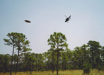UFO
                        over Gulf Breeze, Florida